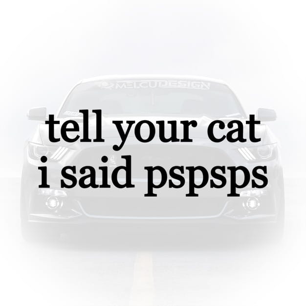 sticker auto tell your cat i said pspsps luneta masina
